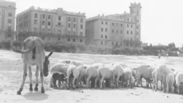 Zasłona do filmu "La primera mirada: historia de una escuela de cine" #788414