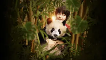 Zasłona do filmu "Moon le panda" #590026