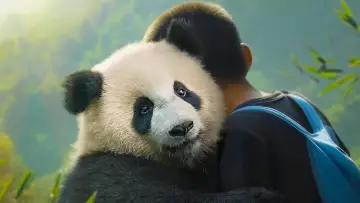 Zasłona do filmu "Moon le panda" #590028