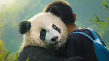 Zasłona do filmu "Moon le panda" #590030