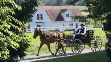 Zasłona do filmu "En Terre Amish" #438101