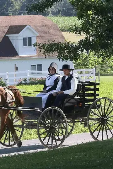 Plakat do filmu "En Terre Amish" #438104