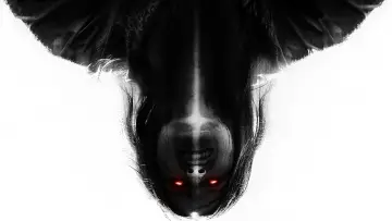 Zasłona do filmu "The Exorcists" #413376