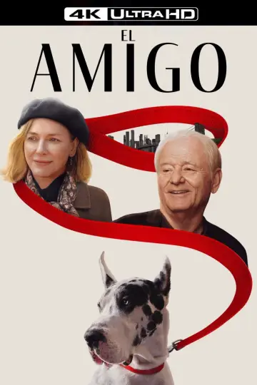 Plakat do filmu "Przyjaciel" #589149