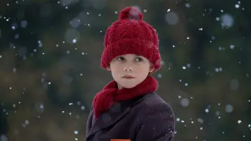 Zasłona do filmu "Aksamitny królik" #317633