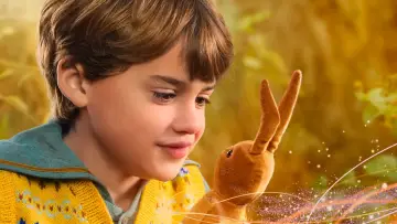 Zasłona do filmu "Aksamitny królik" #317637
