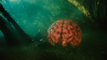 Zasłona do filmu "Pogłoski" #472566