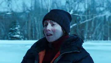 Zasłona do filmu "Krew i śnieg" #1138330