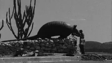 Zasłona do filmu "Sertão, América" #1188529