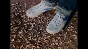 Zasłona do filmu "Kék Pelikan" #1055456