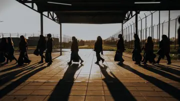 Zasłona do filmu "La mujer de la fila" #1141073