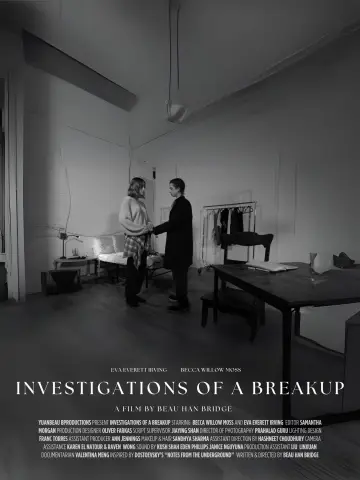 Investigations of a Breakup plakat