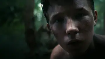 Zasłona do filmu "Pokonać górę" #786449