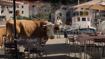 Zasłona do filmu "Nakon ljeta" #849924