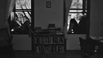Zasłona do filmu "Frances Ha" #724817