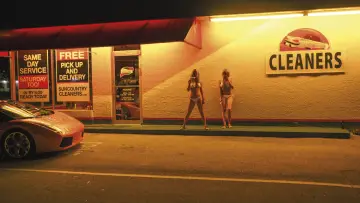 Zasłona do filmu "Spring Breakers" #332101