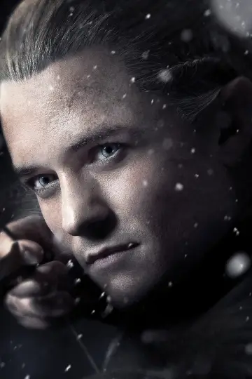 Plakat do filmu "Hobbit: Bitwa Pięciu Armii" #798605