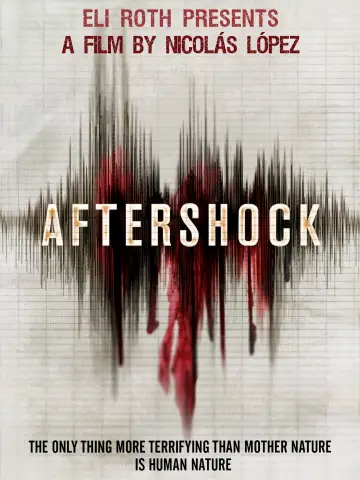 Plakat do filmu "Aftershock. Miasto chaosu" #348357