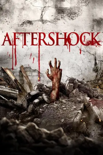Plakat do filmu "Aftershock. Miasto chaosu" #348359