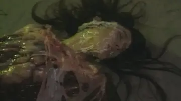 Zasłona do filmu "はいすくーる・ゴーストバスターズ" #934600