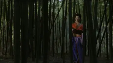 Zasłona do filmu "（秘）女郎責め地獄" #1046250