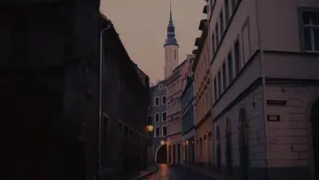 Zasłona do filmu "Grand Budapest Hotel" #1626726