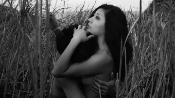 Zasłona do filmu "恋人たちは濡れた" #926696