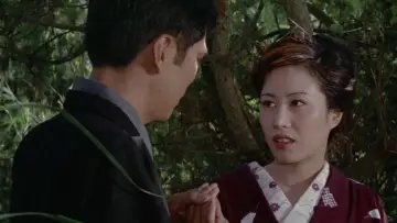 Zasłona do filmu "四畳半襖の裏張り" #927202