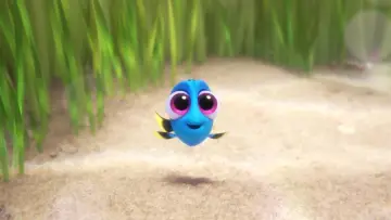 Zasłona do filmu "Gdzie jest Dory" #1576596