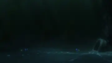 Zasłona do filmu "Gdzie jest Dory" #1576598