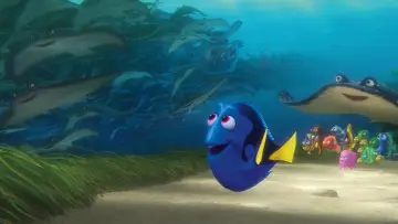 Zasłona do filmu "Gdzie jest Dory" #244163