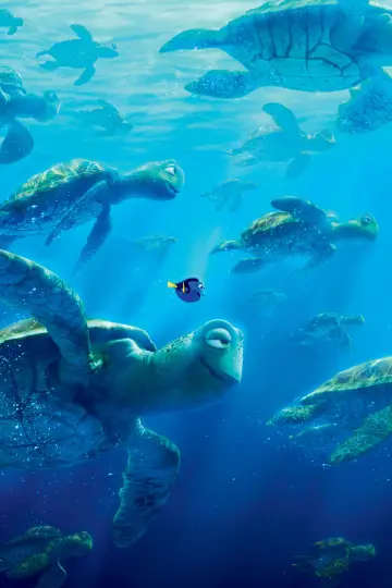Plakat do filmu "Gdzie jest Dory" #244200