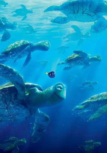 Plakat do filmu "Gdzie jest Dory" #244202