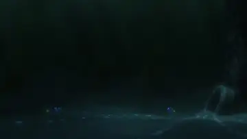 Zasłona do filmu "Gdzie jest Dory" #658278