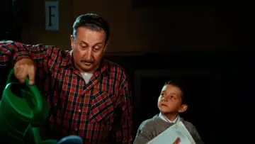 Zasłona do filmu "Ci hai rotto papà" #1162831
