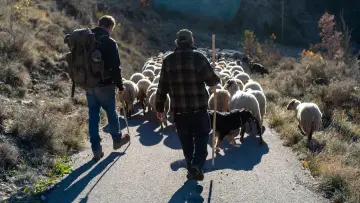 Zasłona do filmu "Vivre avec les loups" #786864