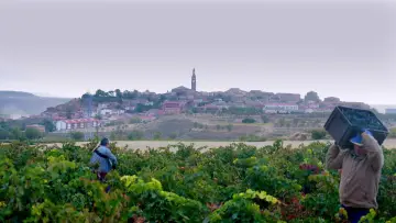 Zasłona do filmu "Rioja, la tierra de los mil vinos" #1644378