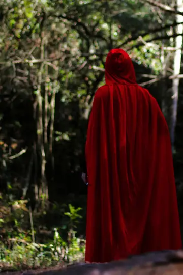 Plakat do filmu "RED WARRIOR" #413448