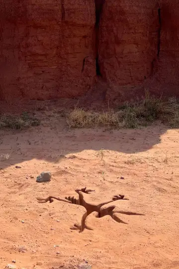 Plakat do filmu "Coyote vs. Acme" #627562
