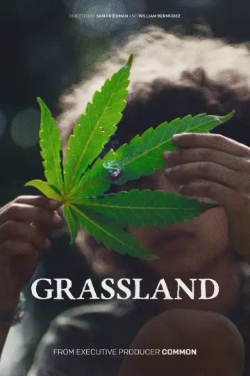 Plakat do filmu "Grassland" #1773677