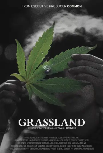 Plakat do filmu "Grassland" #1773678
