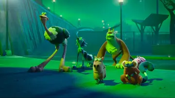 Zasłona do filmu "Noc w ZOO" #553219