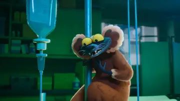Zasłona do filmu "Noc w ZOO" #553237