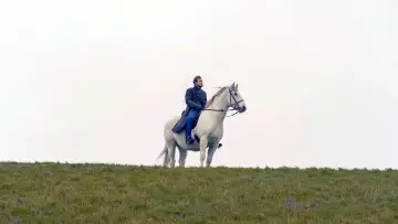 Zasłona do filmu "Der Schimmelreiter" #1652313