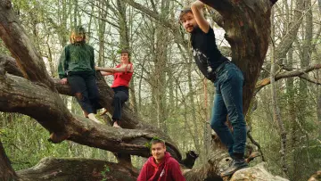 Zasłona do filmu "Havumetsän lapset" #1051252