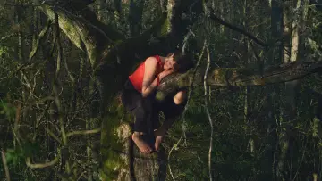 Zasłona do filmu "Havumetsän lapset" #1051255