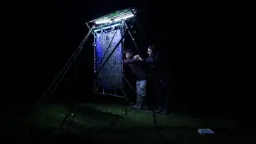 Zasłona do filmu "Nocturnes" #787090