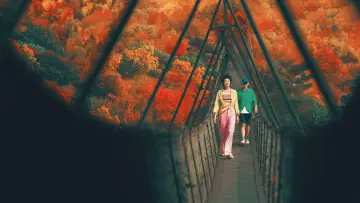 Zasłona do filmu "非诚勿扰 3" #197817