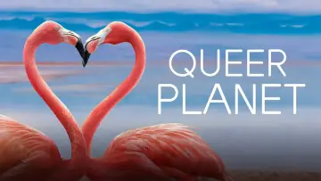 Zasłona do filmu "Queer Planet" #1122479
