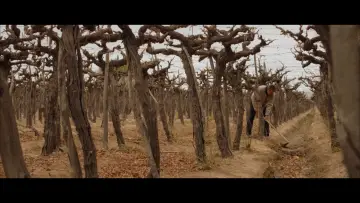 Zasłona do filmu "Tierra Yerma" #477555